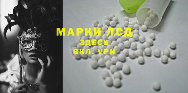 ПСИЛОЦИБИНОВЫЕ ГРИБЫ Гусев