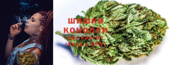 мет Дмитриев